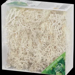 Action Saisondekoration<Home Accents Deko-Moos