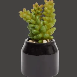 Action Kunstpflanzen & -Blumen<Home Accents Künstliche Sukkulente im Topf