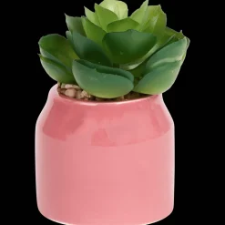 Action Kunstpflanzen & -Blumen<Home Accents Künstliche Sukkulente im Topf