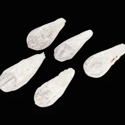 Action Kunstpflanzen & -Blumen<Home Accents Natural Trockenmischung