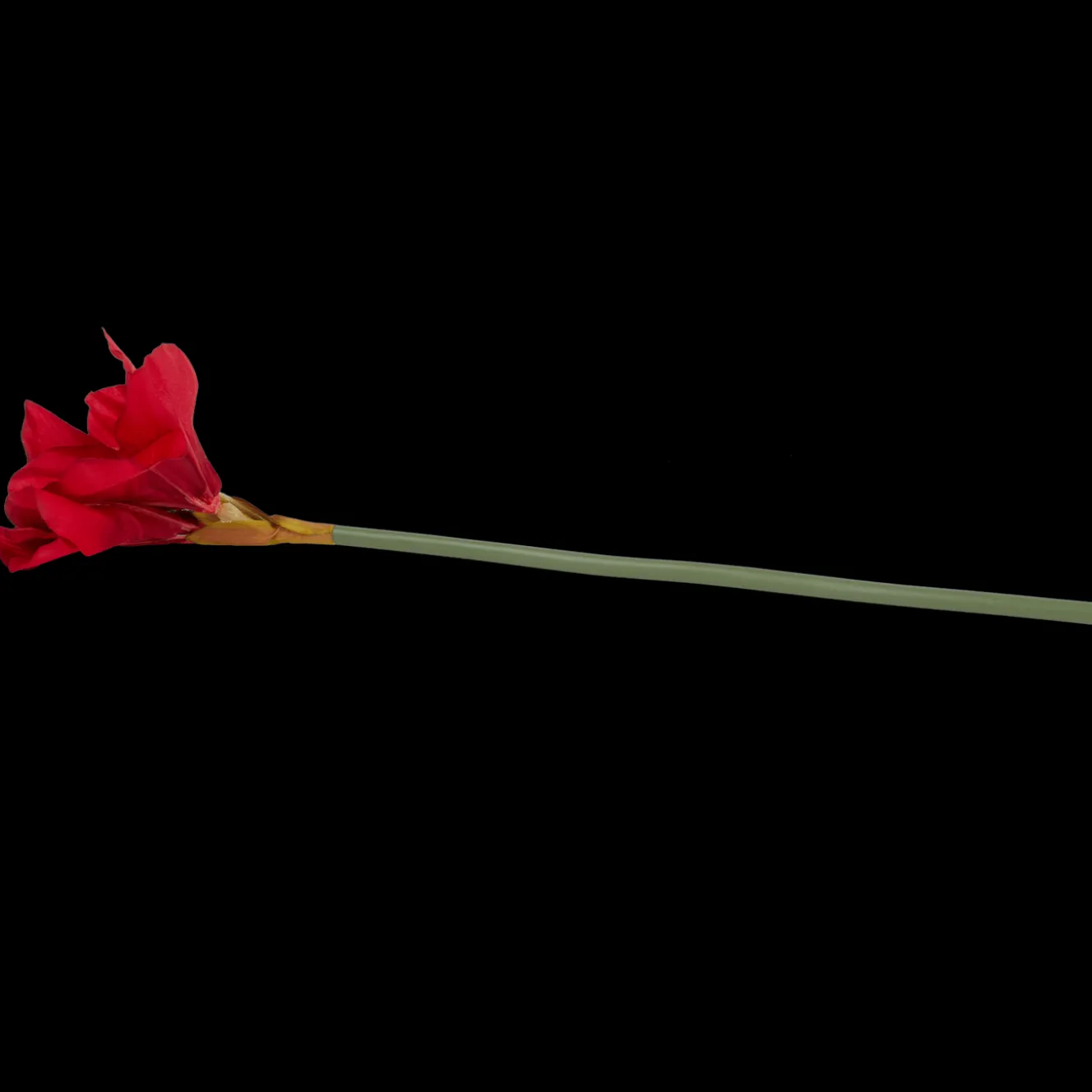 Action Kunstpflanzen & -Blumen<Künstliche Amaryllis mit Stiel