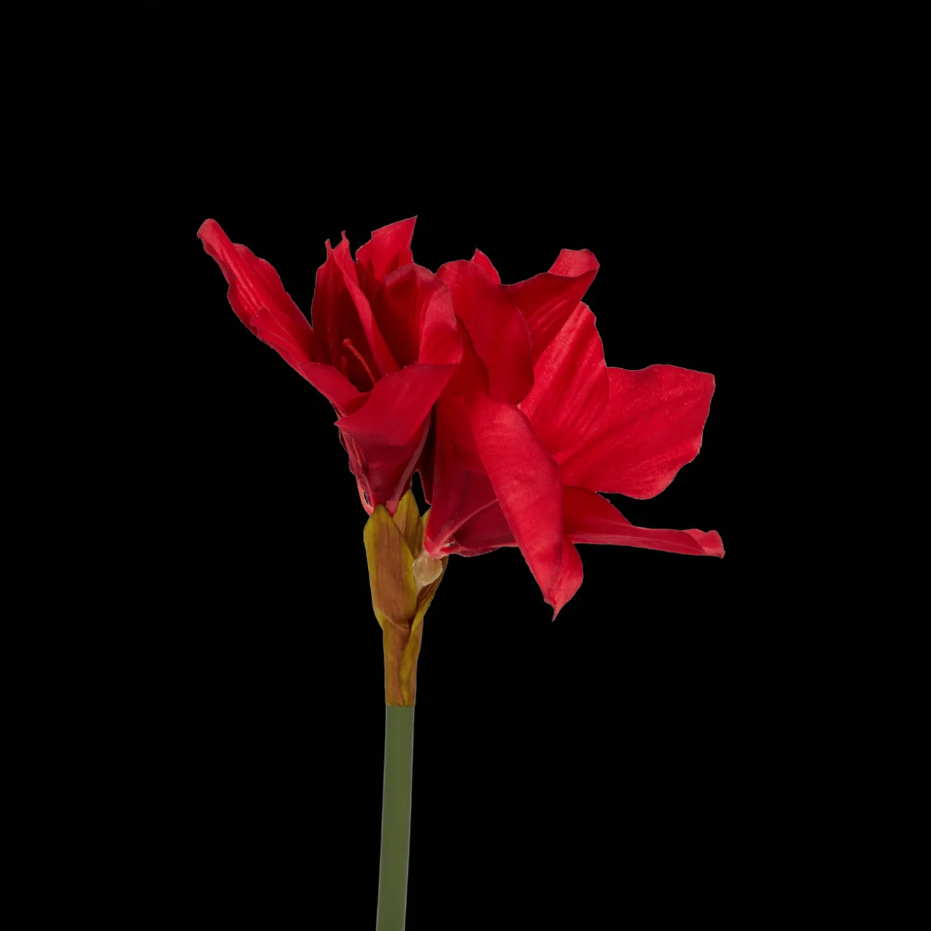 Action Kunstpflanzen & -Blumen<Künstliche Amaryllis mit Stiel
