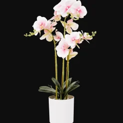 Action Kunstpflanzen & -Blumen<Künstliche Orchidee im Topf