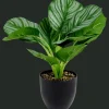Action Kunstpflanzen & -Blumen<Kunstpflanze