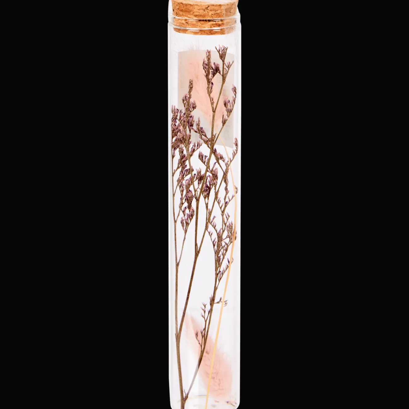 Action Wohnaccessoires<Röhrchen mit Trockenblumen