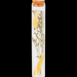 Action Wohnaccessoires<Röhrchen mit Trockenblumen