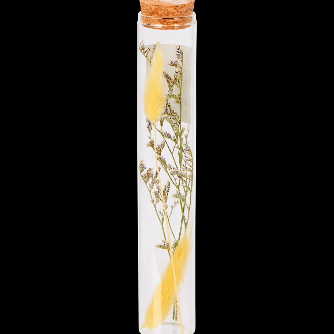 Action Wohnaccessoires<Röhrchen mit Trockenblumen