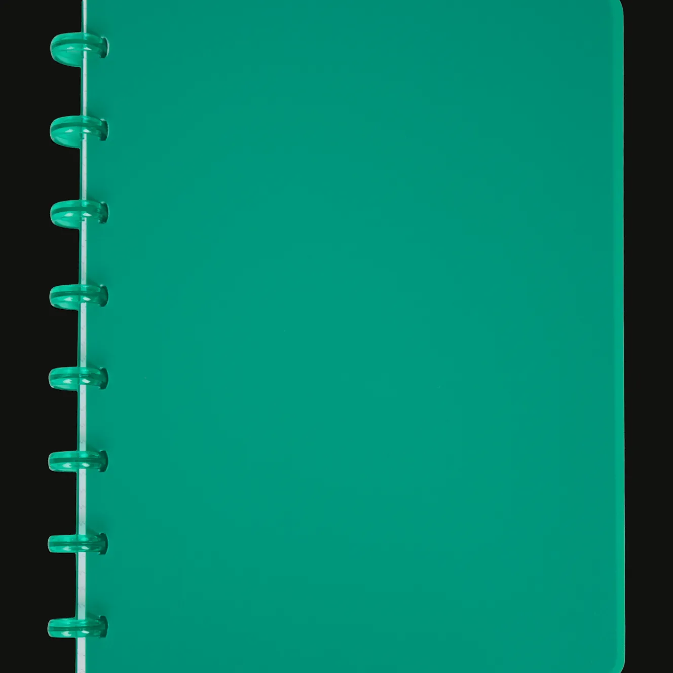 Action Papier & Notizbücher<Ringbuch A5