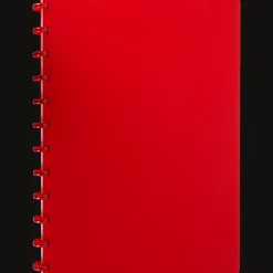 Action Papier & Notizbücher<Ringbuch A4 kariert
