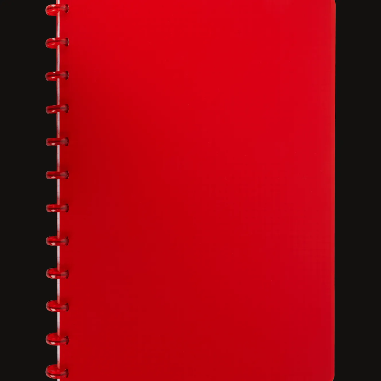 Action Papier & Notizbücher<Ringbuch A4 kariert