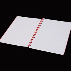 Action Papier & Notizbücher<Ringbuch A4 kariert