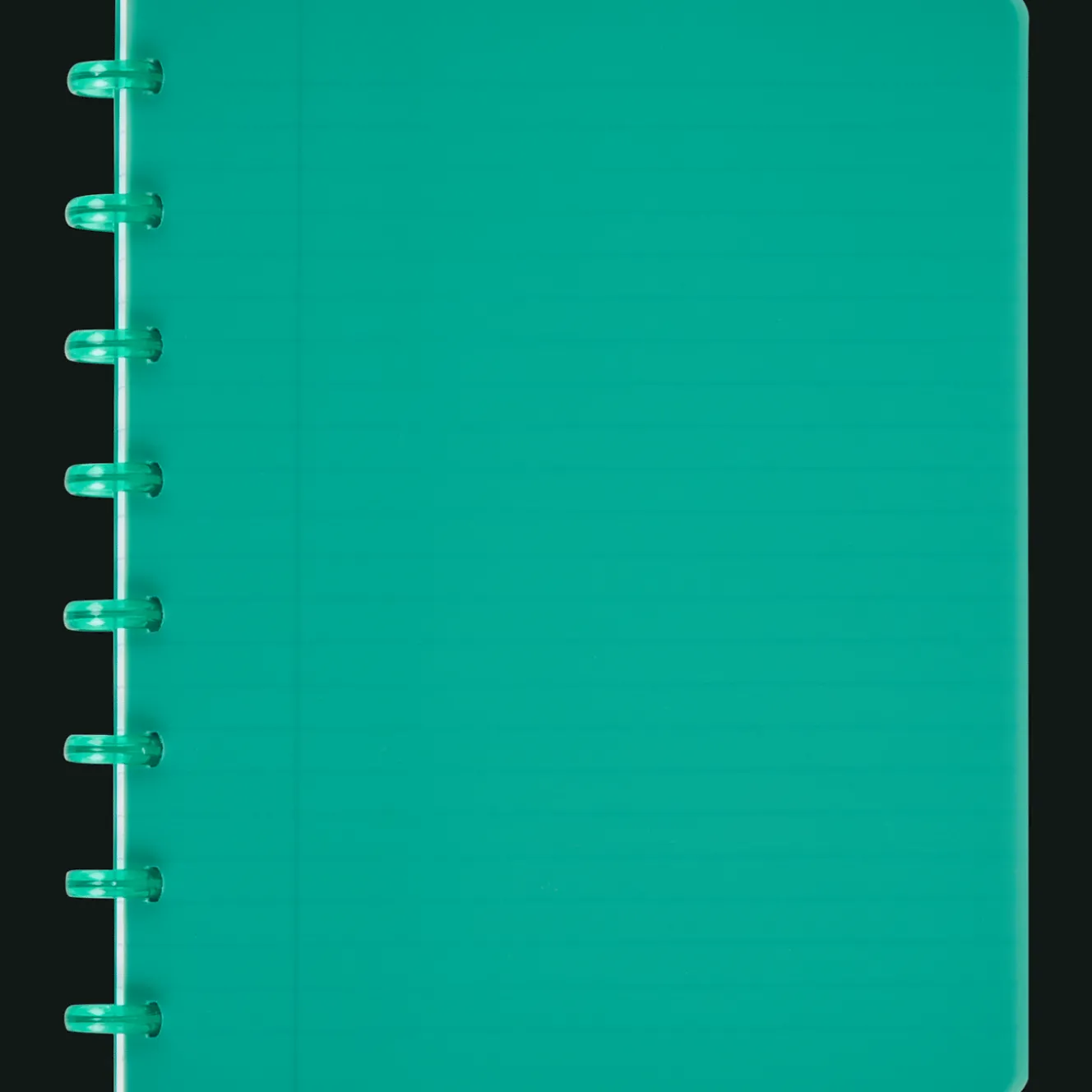Action Papier & Notizbücher<Ringbuch DIN A5