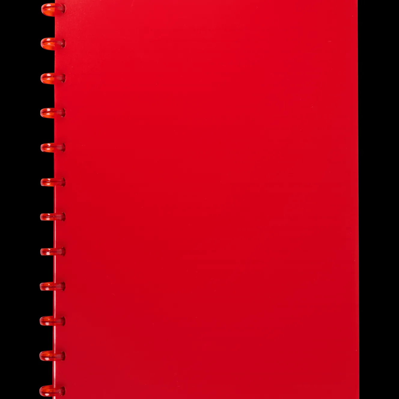 Action Papier & Notizbücher<Ringbuch DIN A4 A4