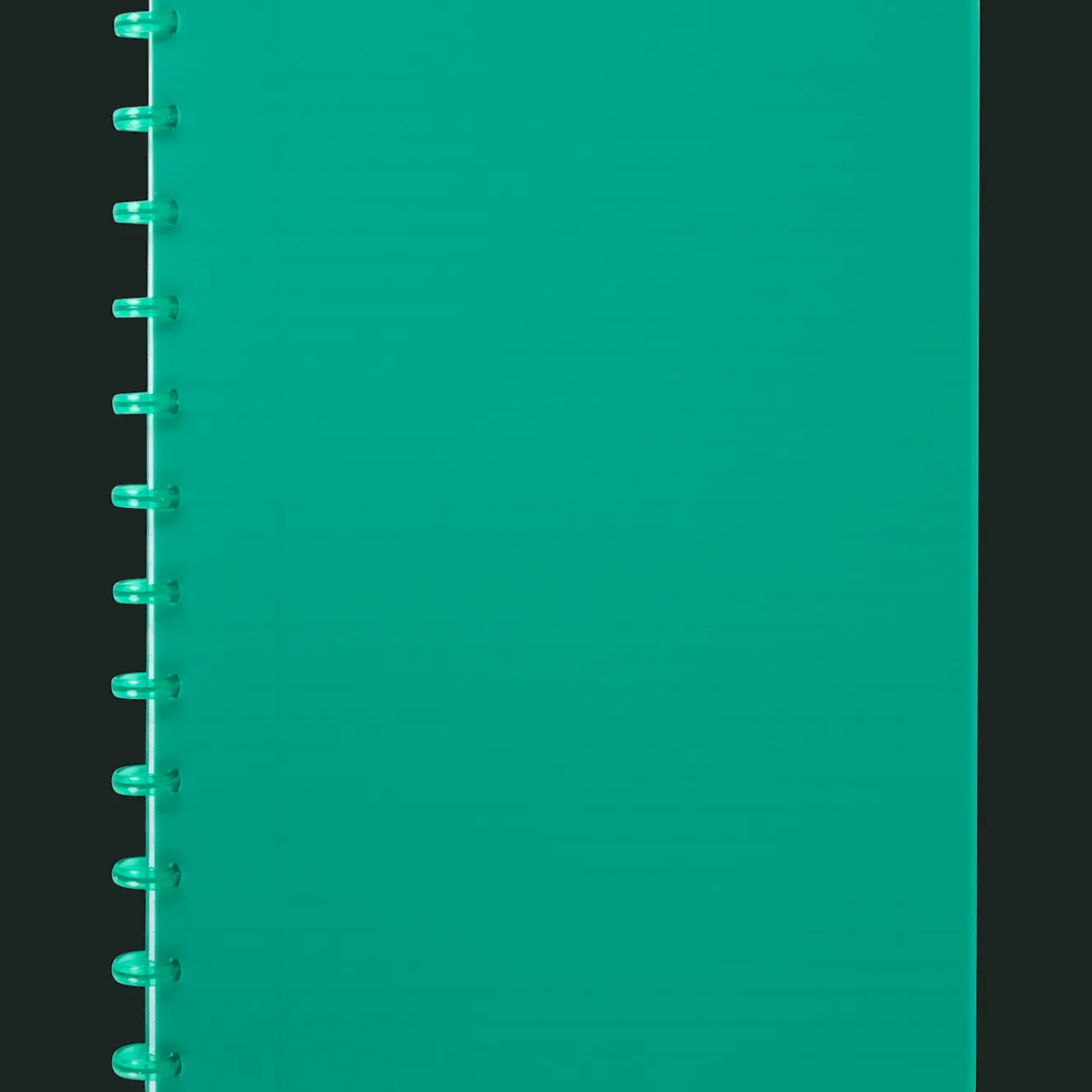 Action Papier & Notizbücher<Ringbuch DIN A4 A4