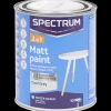 Spectrum Farbe<2-in-1 Acryllack Matt Cool Grey