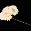 Action Kunstpflanzen & -Blumen<Trockenblumen