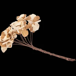 Action Kunstpflanzen & -Blumen<Trockenblumen