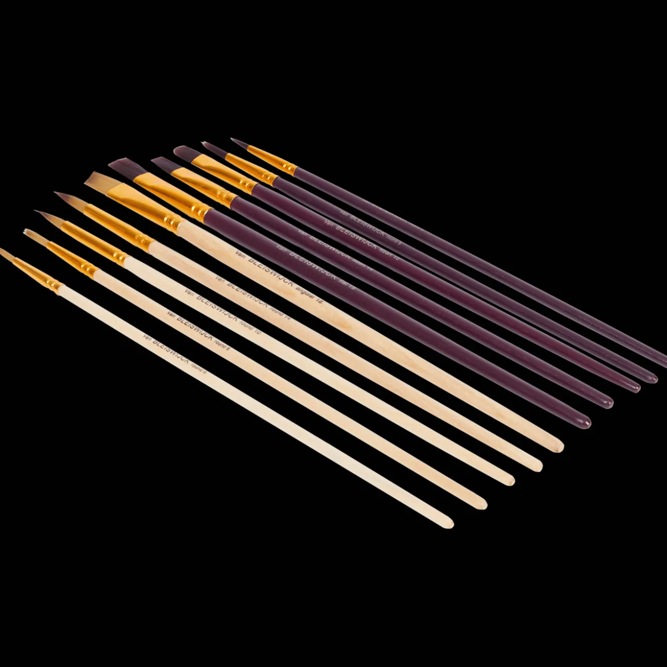 Van Bleiswijck Malen & Zeichnen<Professionelles Pinsel-Set