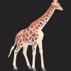 Action Spiele<Wilde Tiere Spielfiguren